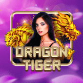 Dragon Tiger Bingo Casino live
