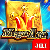 Mega Ace Bingo Casino slot